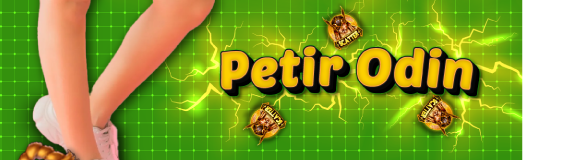 petir odin